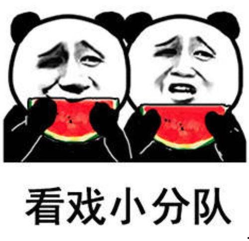 吃瓜表情包长相思,吃瓜表情包与长相思的趣味碰撞