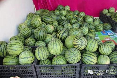 吃瓜陈某卉,揭秘娱乐圈幕后故事