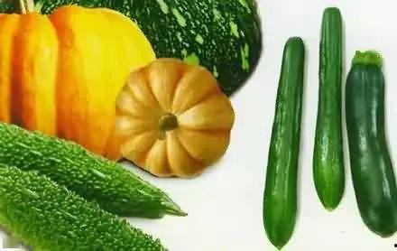 吃瓜老社长,揭秘娱乐圈幕后故事