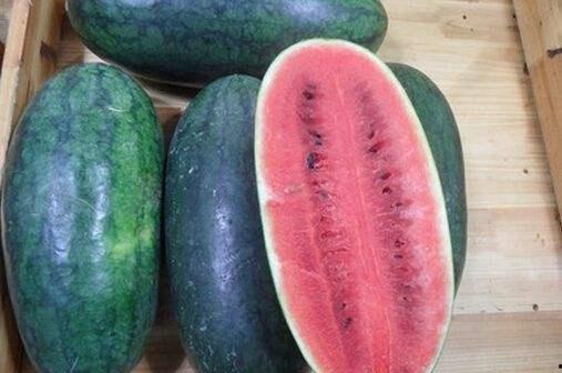 黑料吃瓜总站2,揭秘娱乐圈幕后真相，带你走进明星隐私世界