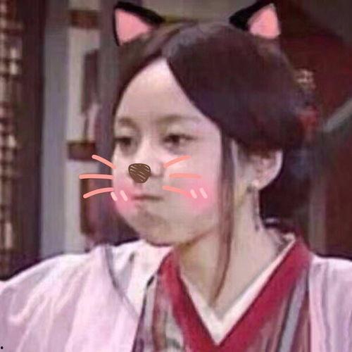 白展堂头像吃瓜,揭秘娱乐圈最新热点事件