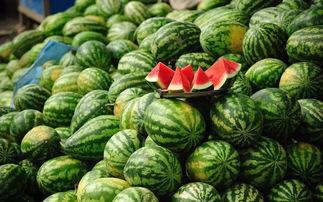 元朝吃瓜,吃瓜群众的盛世狂欢