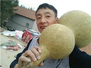 沂水骑行圈吃瓜,揭秘圈中“吃瓜”趣事