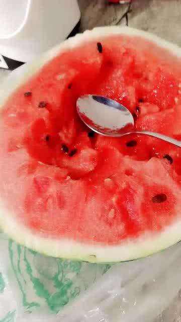 中午有瓜吃,享受悠闲时光的甜蜜滋味