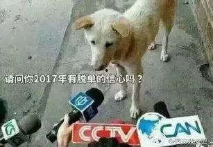 卧槽群众吃瓜视频,揭秘网络热点的背后真相