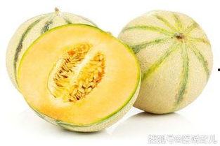 吃田瓜有什么坏处,吃田瓜的潜在风险与注意事项