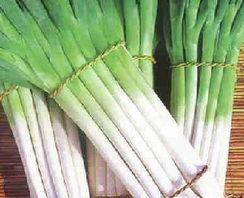 吃葱然后吃哈密瓜