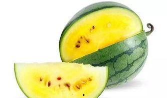 瓜哪里吃,尽享舌尖上的美味之旅