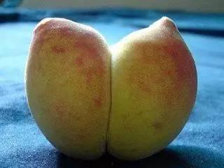 怀孕梦见歪瓜裂枣吃瓜了,歪瓜裂枣的寓意与启示