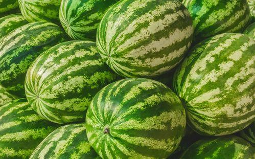 福州健身吃瓜,运动与休闲的完美“吃瓜”体验