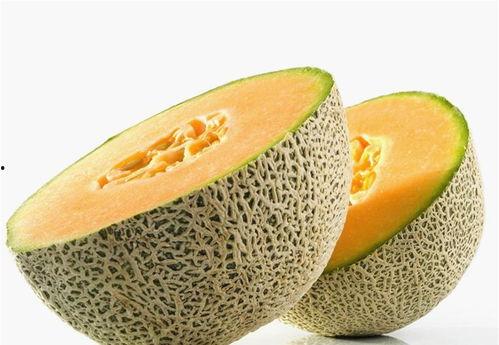 蛐蛐吃哈密瓜,生态和谐共生的奇妙现象