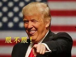 夺命港湾吃瓜人士,揭秘吃瓜人士背后的惊悚真相