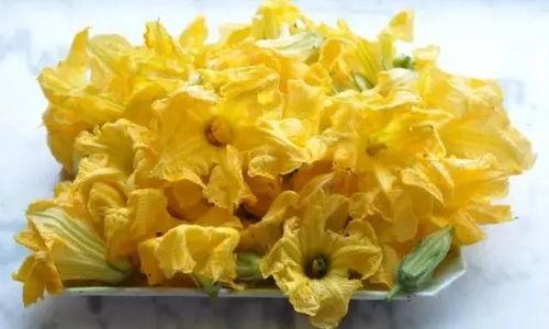 云南面瓜怎么吃,解锁地方特色美食新体验