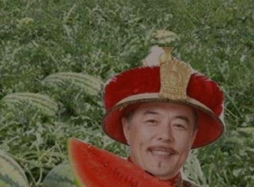 丞相吃瓜,揭秘古代政治风云中的闲情逸致