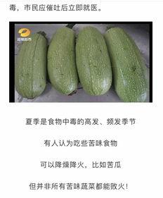 梦见进小瓜地里摘瓜吃瓜,瓜地摘瓜，品味丰收的喜悦