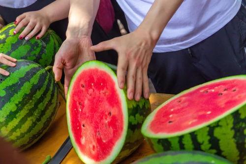 瓜瓜吃瓜活动名称