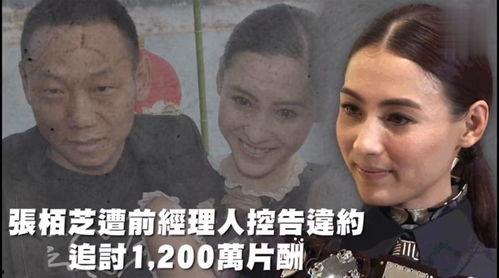 吃瓜探长搞笑综艺,笑料百出，揭秘娱乐圈那些事儿